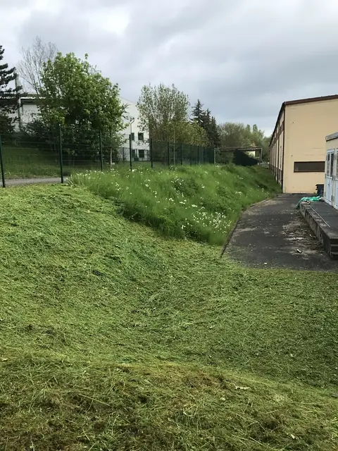 Steile Böschung, eine Hälfte frisch gemäht, daneben noch hohes Gras mit Blüten